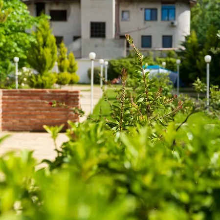 Guest house Juri Garden 4*