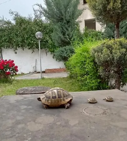 Vendégház Juri Garden