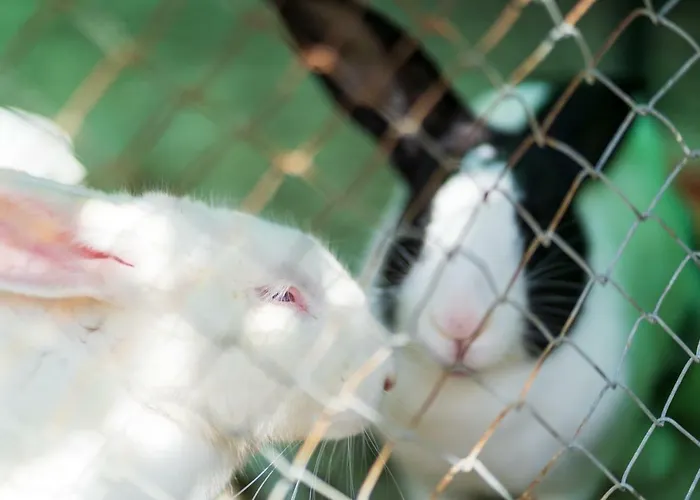 게스트하우스 Juri Garden 베라트